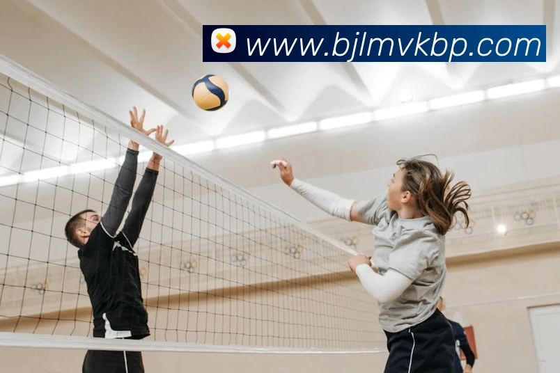 澳门百家乐网站服务体系